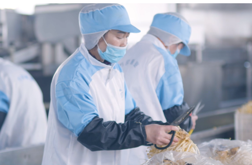 High-efficiency production capacity